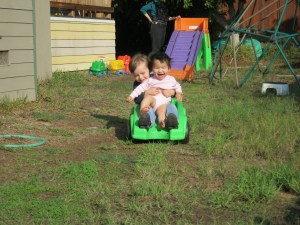 This is a "roller coaster" we have in the back yard