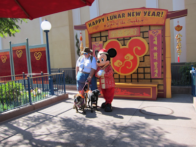 He spent a lot of time petting them while we were in line