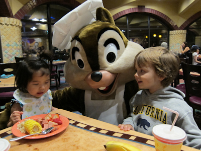 Violet didn't want to be torn away from her food here.